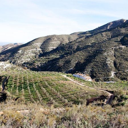 Вилла Cortijo El Rancho Albanchez Экстерьер фото
