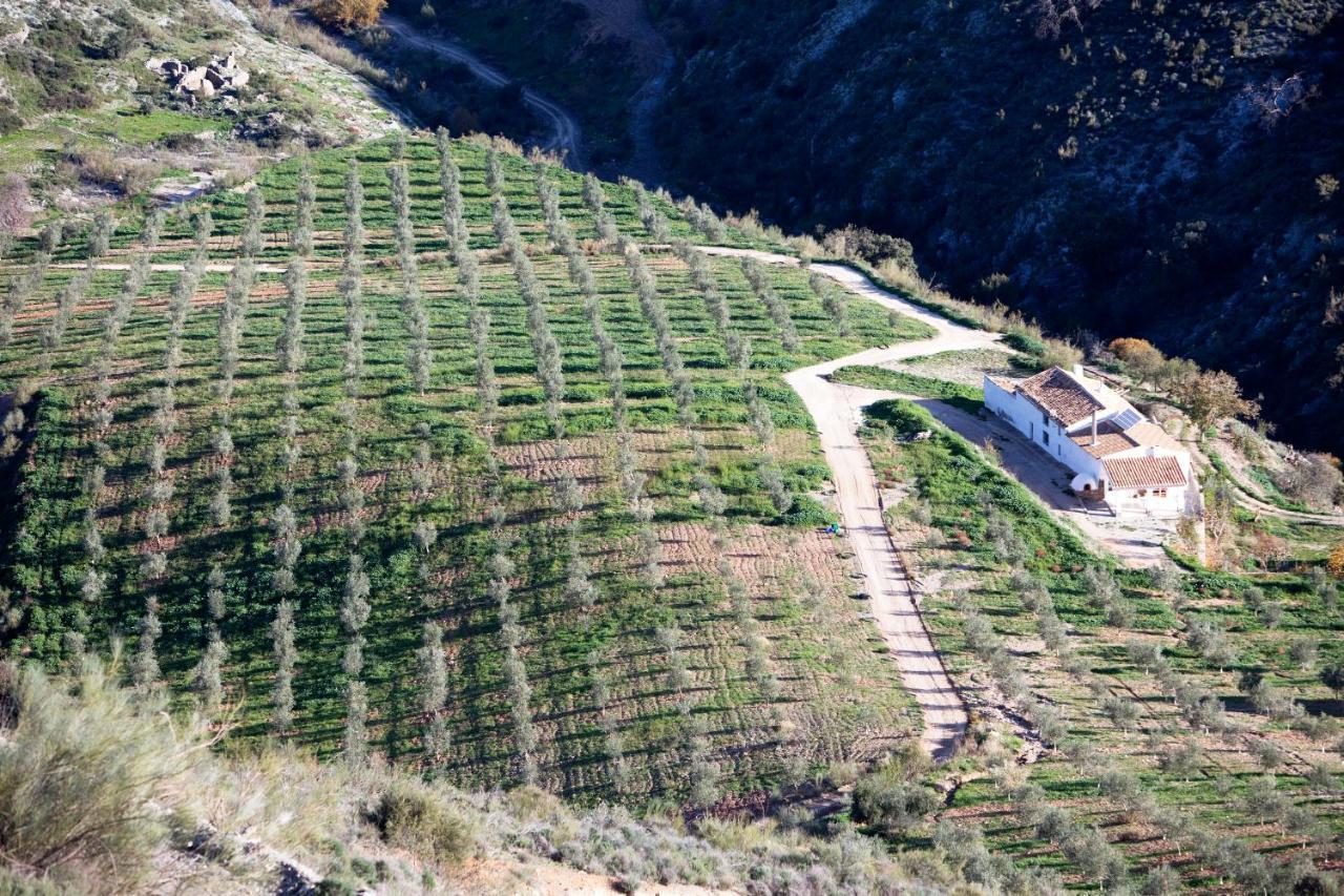 Вилла Cortijo El Rancho Albanchez Экстерьер фото